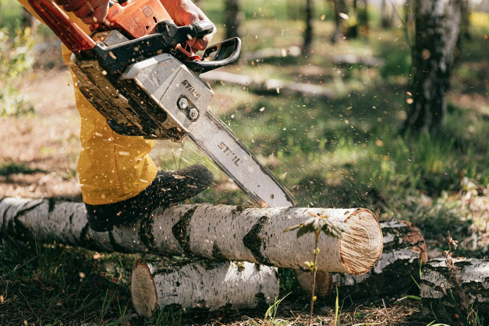 Commercial firewood splitting in Crestone, Colorado